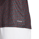 Ajax pré-jogo 24/25