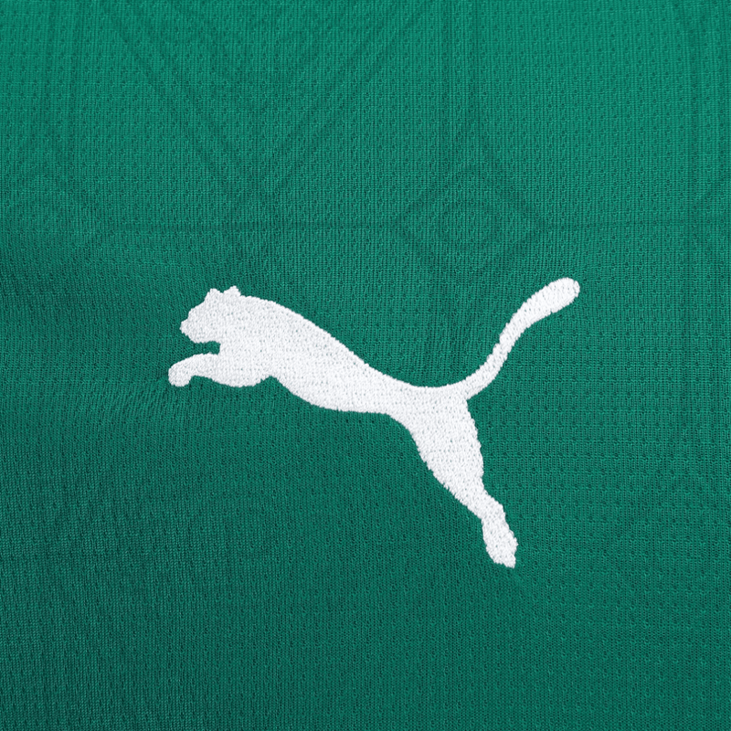 LANÇAMENTO Camisa Palmeiras home 25/26